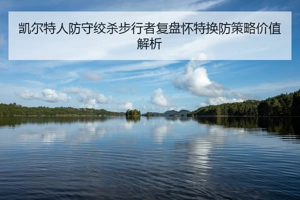 kai-er-te-ren-fang-shou-jiao-sha-bu-xing-zhe-fu-pan-huai-te-huan-fang-ce-lve-jia-zhi-jie-xi-2-592.jpg