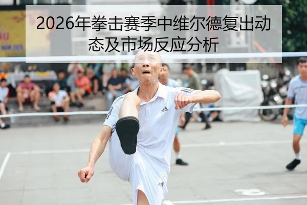 2026年拳击赛季中维尔德复出动态及市场反应分析