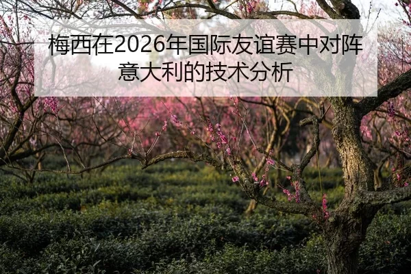 梅西在2026年国际友谊赛中对阵意大利的技术分析