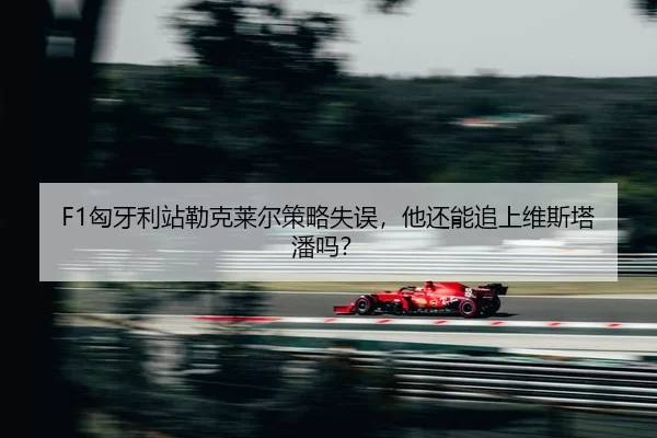 xiong-ya-li-zhan-lei-ke-lai-er-ce-lve-shi-wu-ta-hai-neng-zhui-shang-wei-si-ta-pan-ma-2-515.jpg