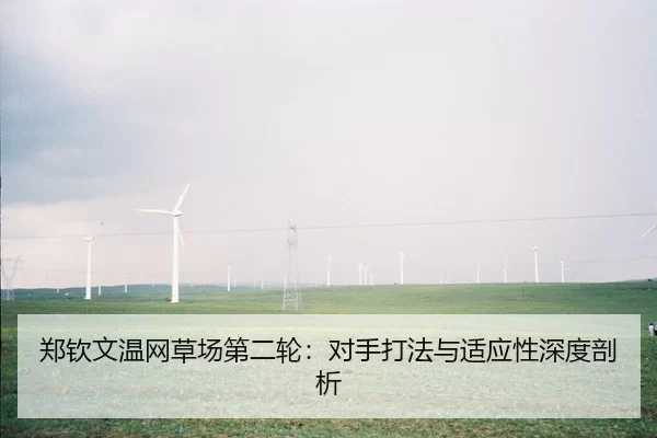 zheng-qin-wen-wen-wang-cao-chang-di-er-lun-dui-shou-da-fa-yu-shi-ying-xing-shen-du-pou-xi-2-766.jpg
