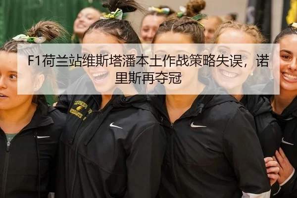 he-lan-zhan-wei-si-ta-pan-ben-tu-zuo-zhan-ce-lve-shi-wu-nuo-li-si-zai-duo-guan-2-505.jpg