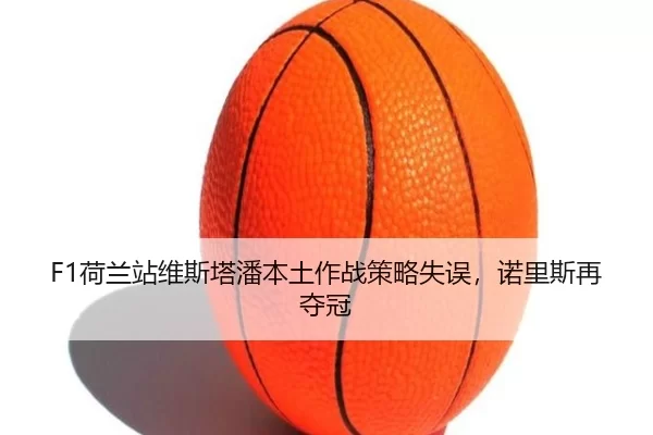 he-lan-zhan-wei-si-ta-pan-ben-tu-zuo-zhan-ce-lve-shi-wu-nuo-li-si-zai-duo-guan-3-360.jpg