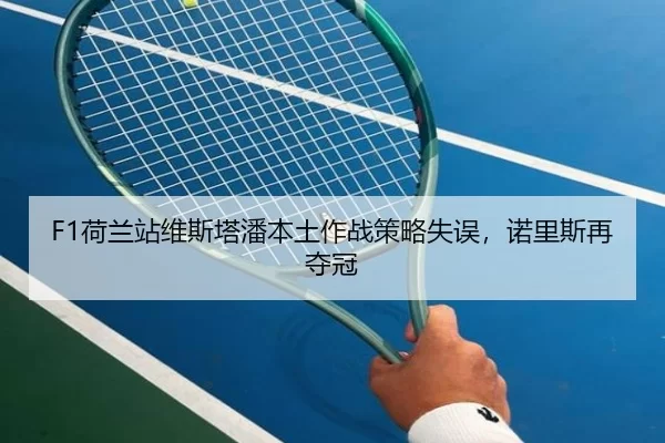 F1荷兰站维斯塔潘本土作战策略失误，诺里斯再夺冠